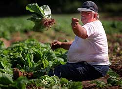 farm2.jpg